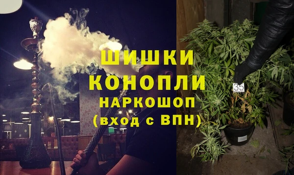 молекула духа Новокубанск