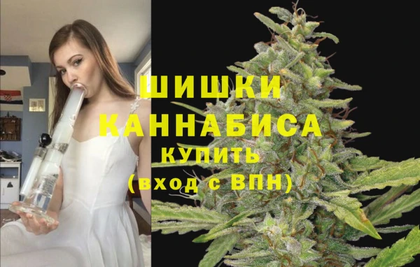 молекула духа Новокубанск