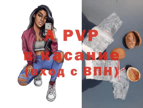 эйфоретик Новозыбков