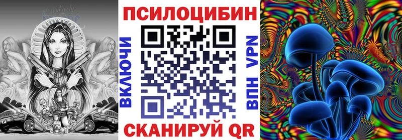omg   Балей  Псилоцибиновые грибы MAGIC MUSHROOMS 